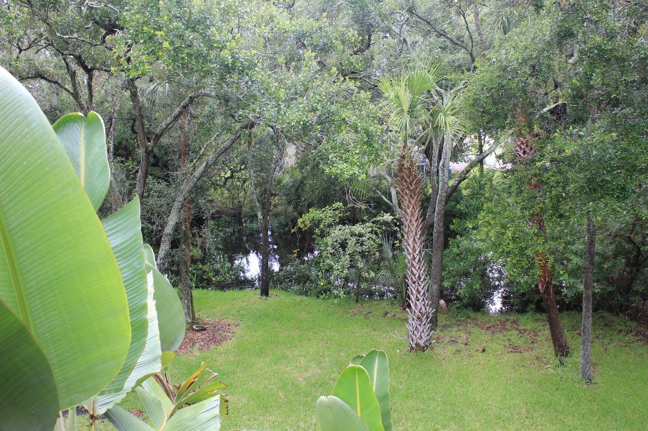Treehouse Villa Tampa Exterior photo