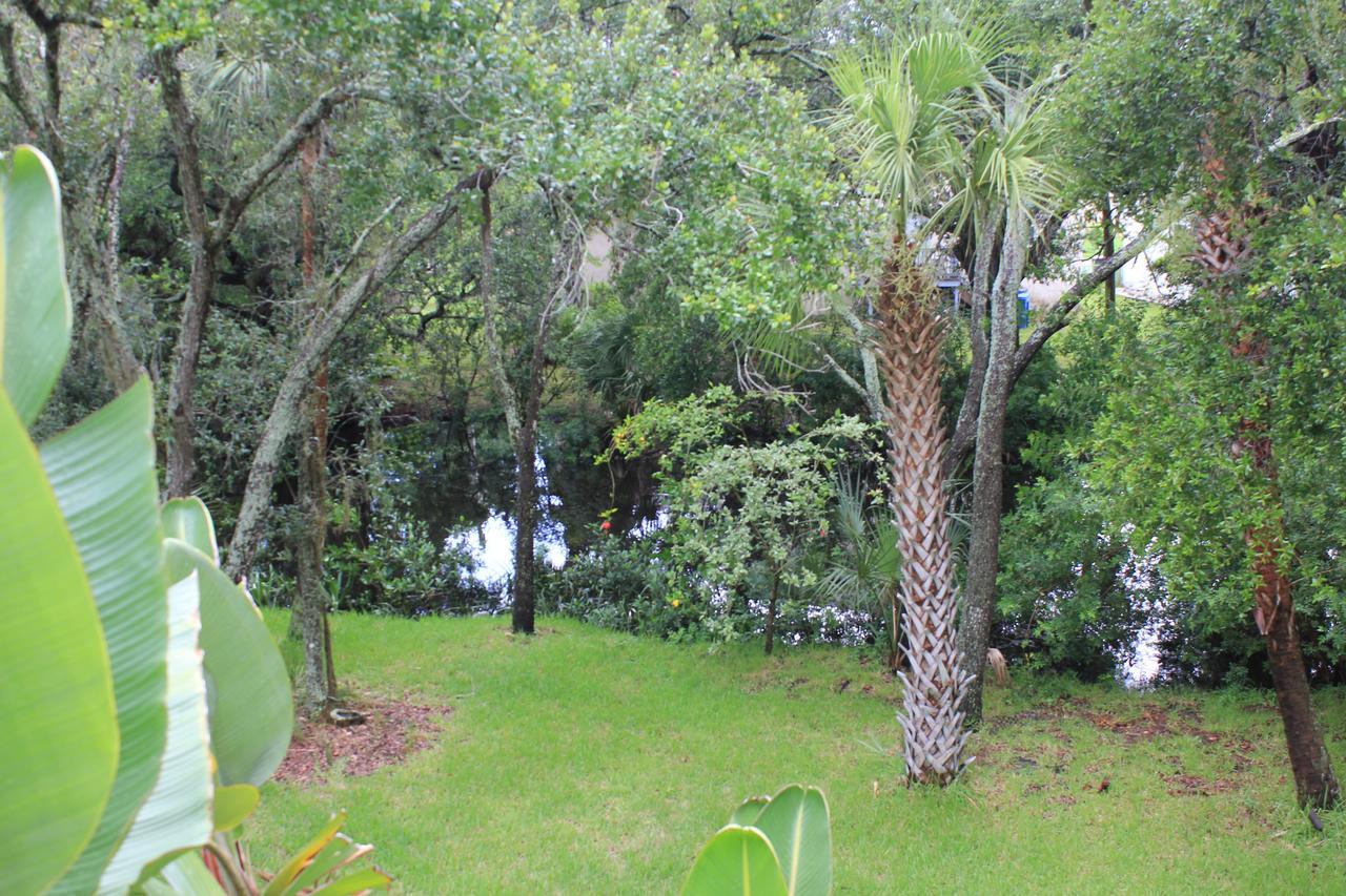 Treehouse Villa Tampa Exterior photo
