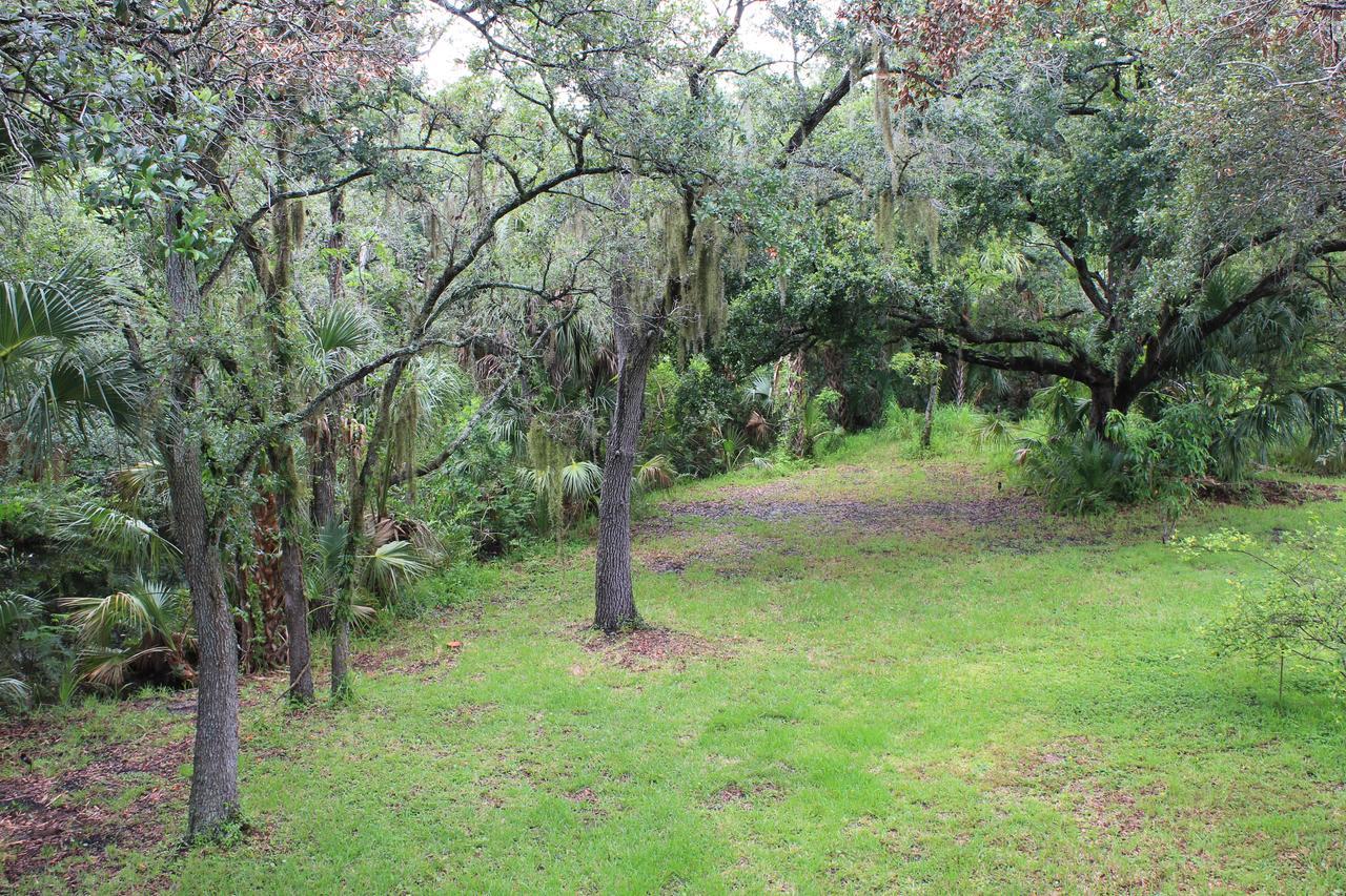 Treehouse Villa Tampa Exterior photo